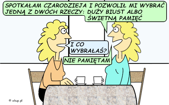 humor i dowcipy - spotkała czarodzieja