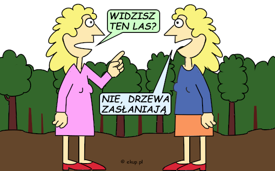 humor i dowcipy - widzisz ten las